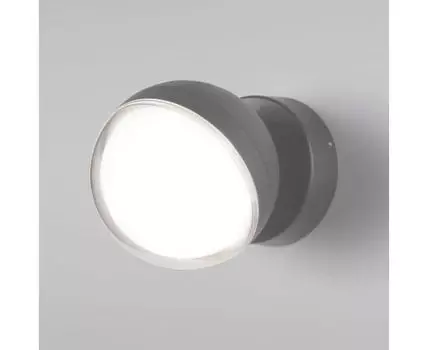 Уличный настенный светильник Elektrostandard Globo