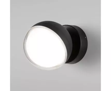 Уличный настенный светильник Elektrostandard Globo