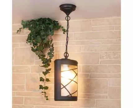 Уличный подвесной светильник Premier
