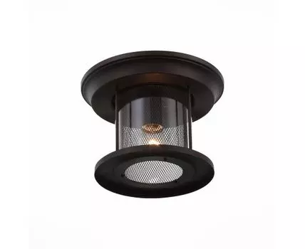 Уличный потолочный светильник Lastero