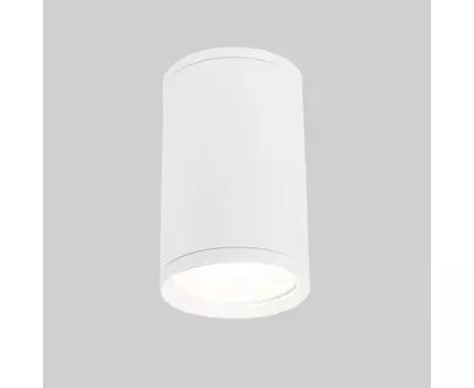 Уличный потолочный светильник Light 2101 IP65 Light