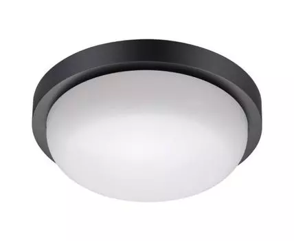 Уличный потолочный светильник Opal
