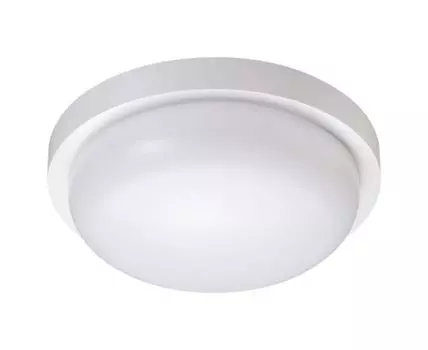 Уличный потолочный светильник Opal