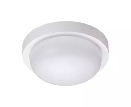 Уличный потолочный светильник Opal