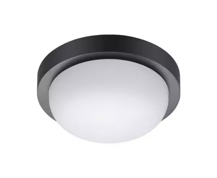 Уличный потолочный светильник Opal