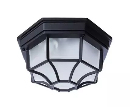 Уличный потолочный светильник Pegasus Black