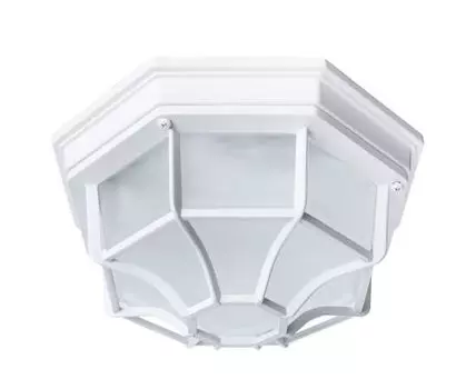 Уличный потолочный светильник Pegasus White