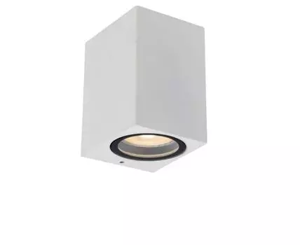 Уличный потолочный светильник ZARO