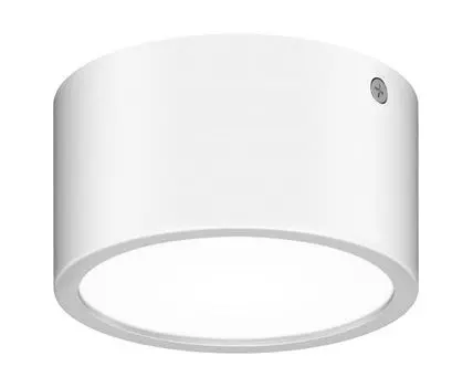 Уличный потолочный светильник Zolla