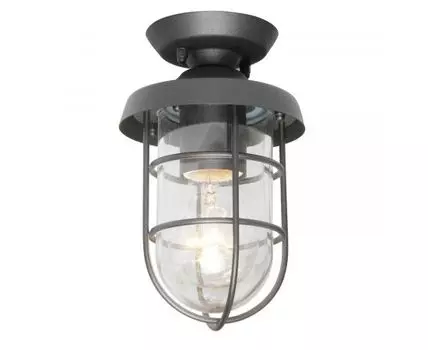 Уличный светильник потолочный Pointer