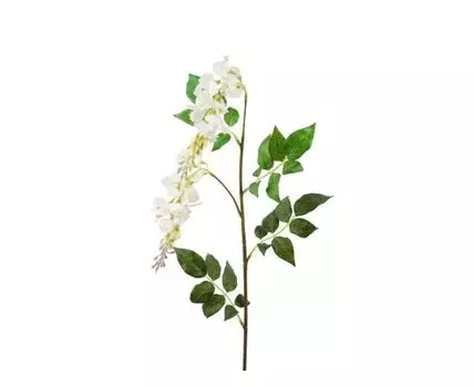 Ветка белая (Белый)