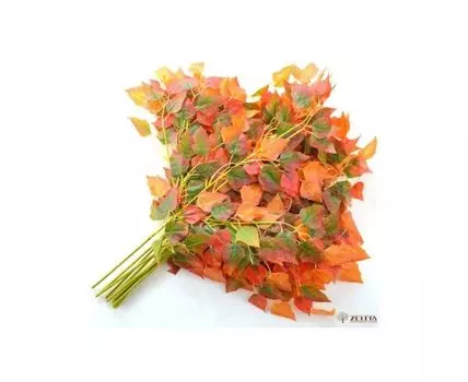 Ветка Береза осень