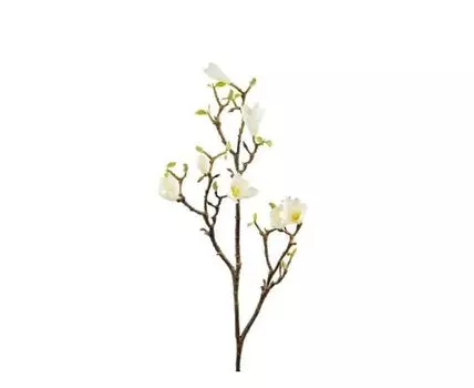 Ветка магнолии белая (Белый)