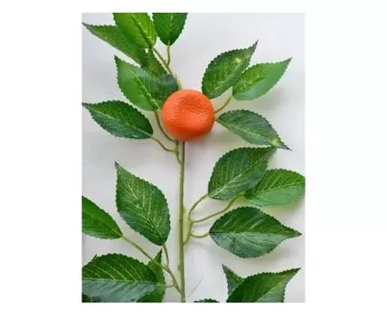 Ветка Мандарина светлая