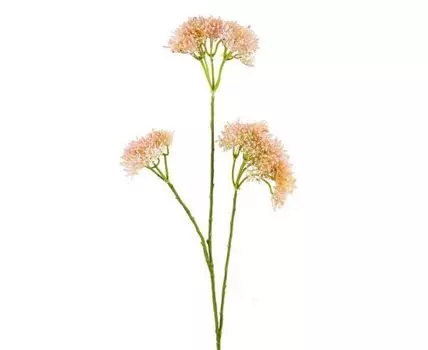 Ветка посконника (80, Розовый)