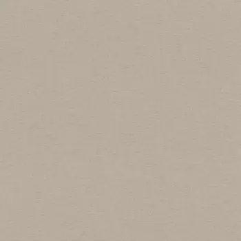 Виниловые обои на флизелиновой основе Rasch Country Charme 0.53x10.05 арт.448566