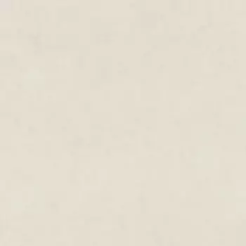 Виниловые обои на флизелиновой основе Rasch Garden 0.53x10.05 арт.330014r