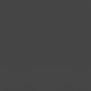 Виниловые обои на флизелиновой основе Rasch Garden 0.53x10.05 арт.688023