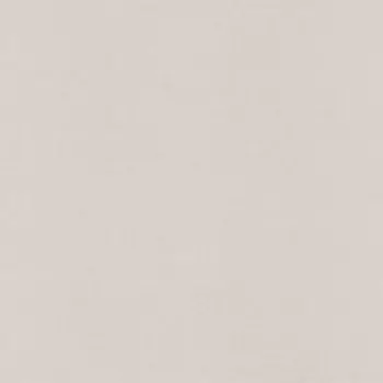 Виниловые обои на флизелиновой основе Rasch Garden 0.53x10.05 арт.688047