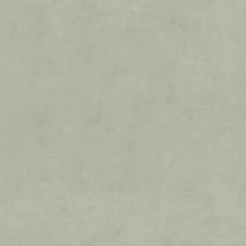 Виниловые обои на флизелиновой основе Rasch Natural Colors 0.53x10.05 арт.408171