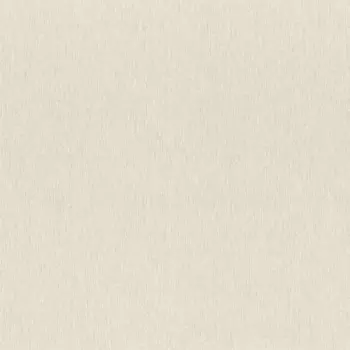 Виниловые обои на флизелиновой основе Rasch Sky Lounge 1.06x10.05 арт.978421