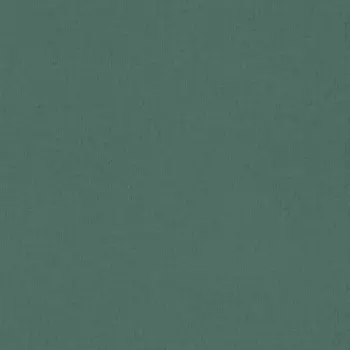 Виниловые обои на флизелиновой основе Rasch Trend 1.06x10.05 арт.975628