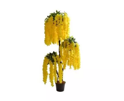 Вистерия Эрли