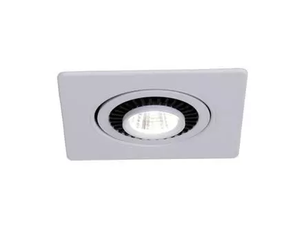 Встраиваемый светильник Favourite Cardine