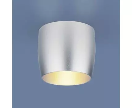 Встраиваемый точечный светильник 6074 MR16 SL серебро