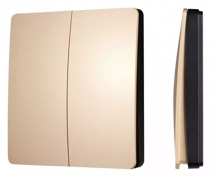 Выключатель беспроводной двухклавишный Arlight INTELLIGENT 043313