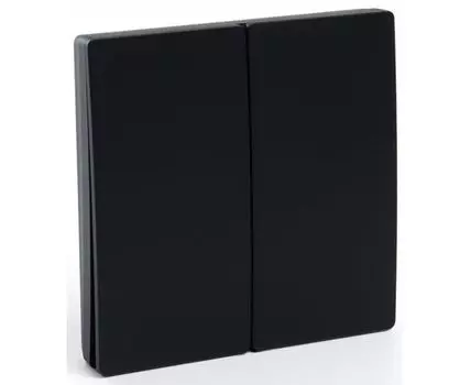 Выключатель беспроводной двухклавишный Feron Tm 82 41723