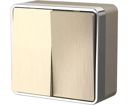 Выключатель двухклавишный Gallant WL15-03-01