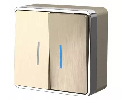 Выключатель двухклавишный с подсветкой Werkel Gallant (шампань рифленый) W5020110 Gallant (шампань рифленый)