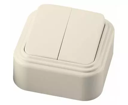 Выключатель двухклавишный Stekker 49050