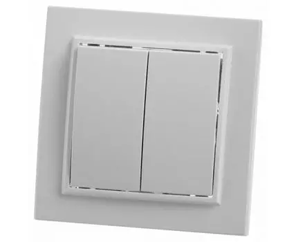 Выключатель двухклавишный Stekker Эрна 39044