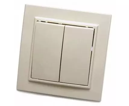 Выключатель двухклавишный Stekker Эрна 39231