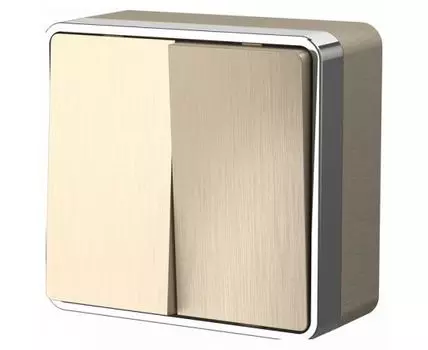 Выключатель двухклавишный Werkel Gallant 4 W5020010