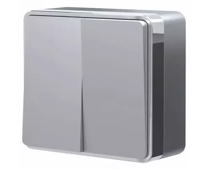 Выключатель двухклавишный Werkel Gallant W5020006