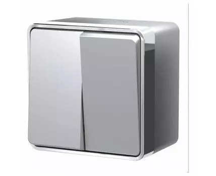 Выключатель двухклавишный влагозащищенный Werkel Gallant W5020206