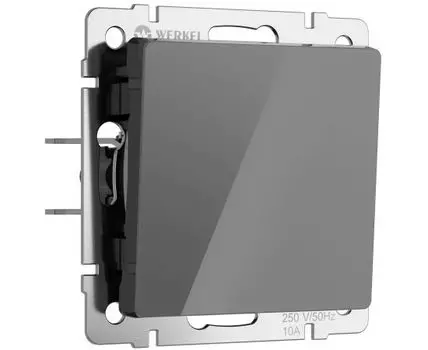 Выключатель одноклавишный проходной Werkel