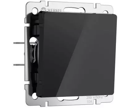 Выключатель одноклавишный проходной Werkel