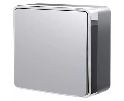 Выключатель одноклавишный Werkel Gallant W5010006