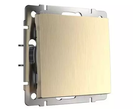 Выключатель одноклавишный Werkel WL10-SW-1G