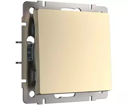 Выключатель одноклавишный Werkel WL11-SW-1G