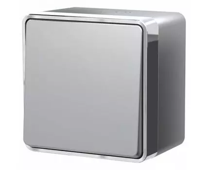 Выключатель одноклавишный влагозащищенный Werkel Gallant W5010206