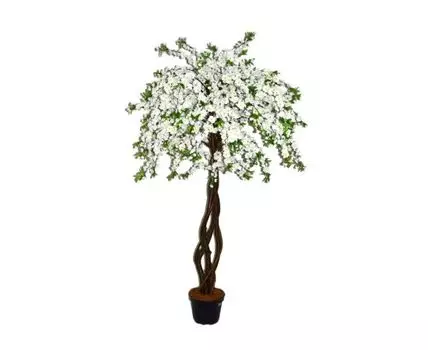 Яблоня Герда