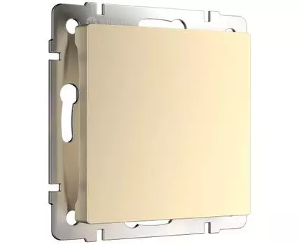 Заглушка Werkel WL11-70-11