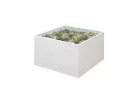 Журнальный стол с миксом стабилизированного мха