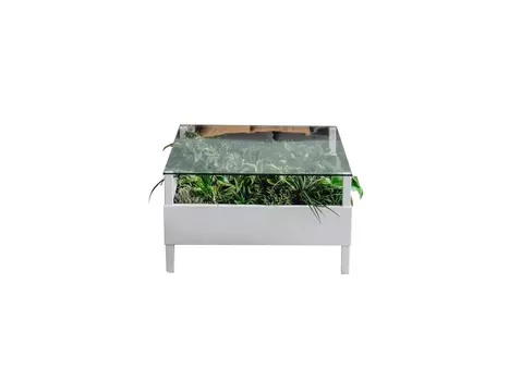 Журнальный столик с натуральными растениями