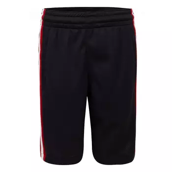 Air Jordan Basketball Shorts